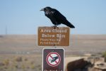 PICTURES/Route 66, Petroglyphs, Ruins and Ravens/t_P1010401.JPG